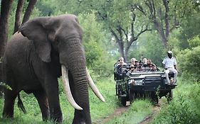 Becks Safari Lodge
